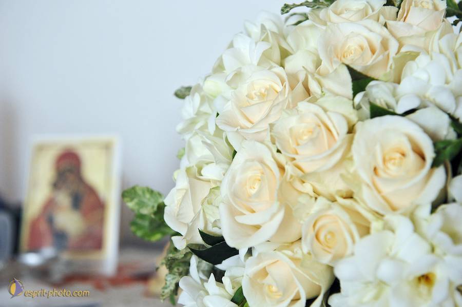 Nom de l'image : 20090103-122721 D30039636_0022_(c)Norbert-JUNG — Description :